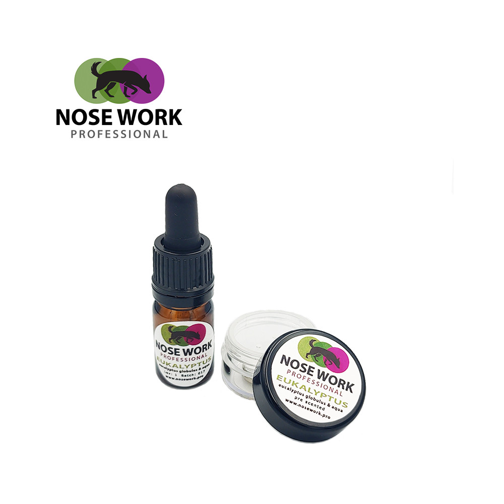 Pre Scented Kit Eukalyptus med magnet