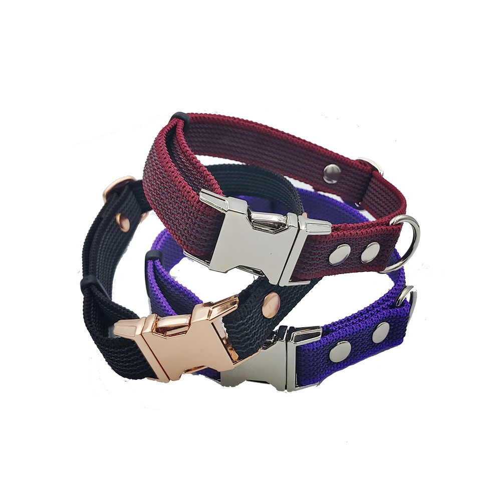 Halsband 20mm
